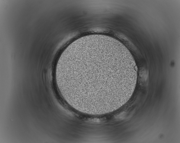 X0000094230734200711241744