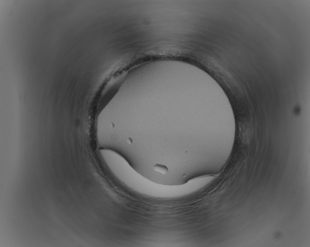 X0000094230735200711241744