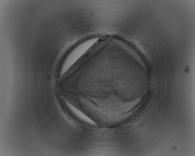 X0000094230736200711241744