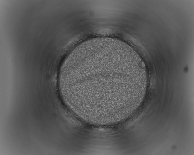 X0000094230737200711241744