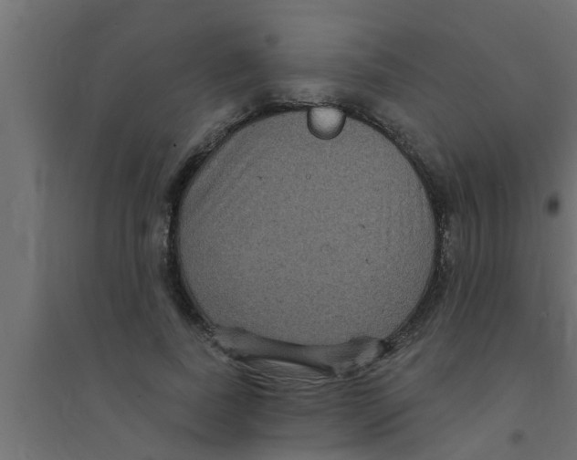 X0000094230739200711241744