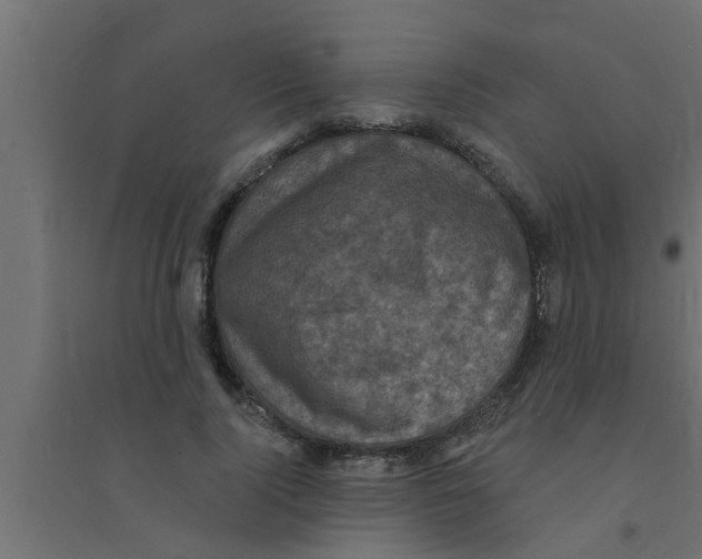 X0000094230740200711241744