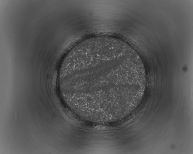 X0000094230742200711241744