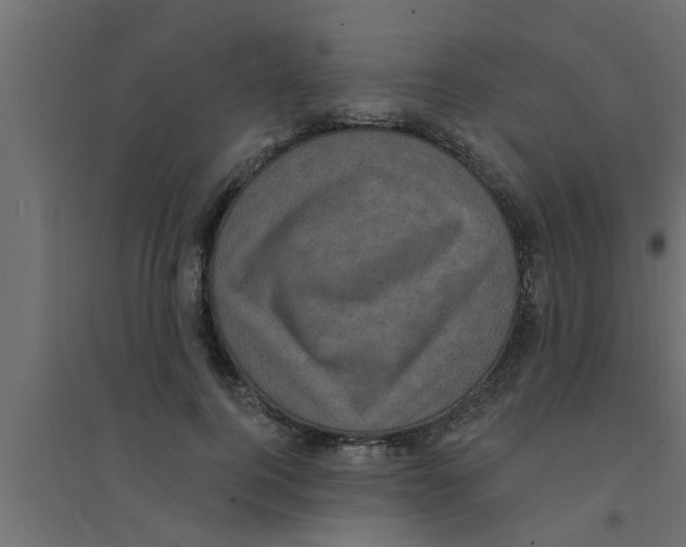 X0000094230744200711241744