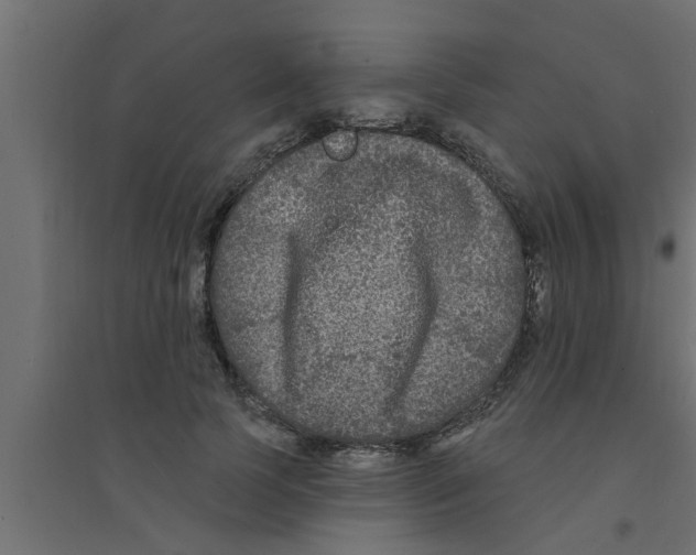 X0000094230745200711241744