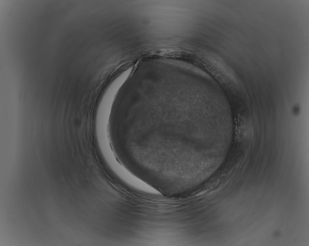 X0000094230748200711241744