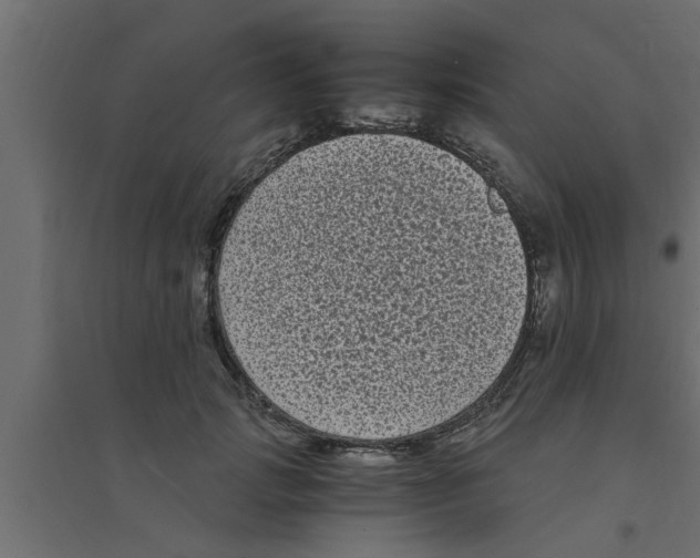 X0000094230749200711241744