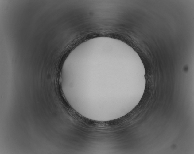 X0000094230750200711241744
