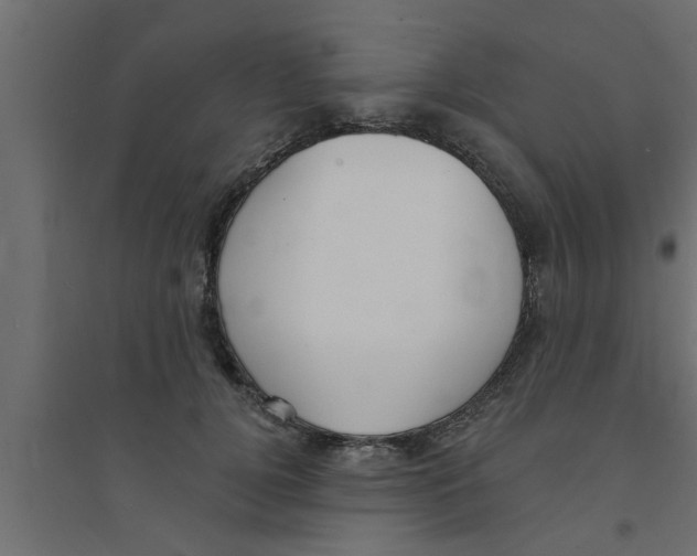 X0000094230752200711241744