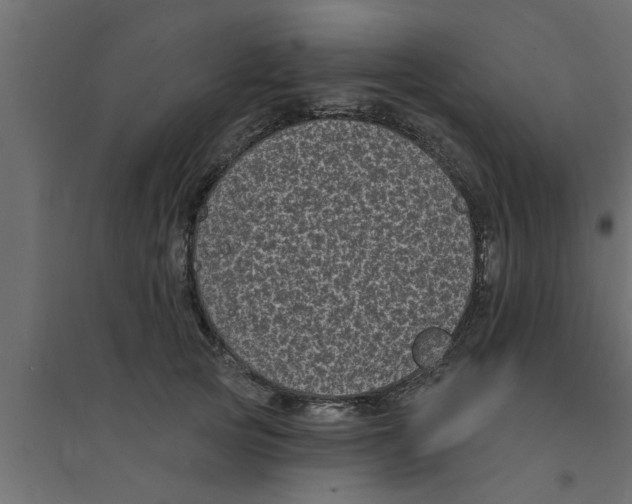 X0000094230753200711241744