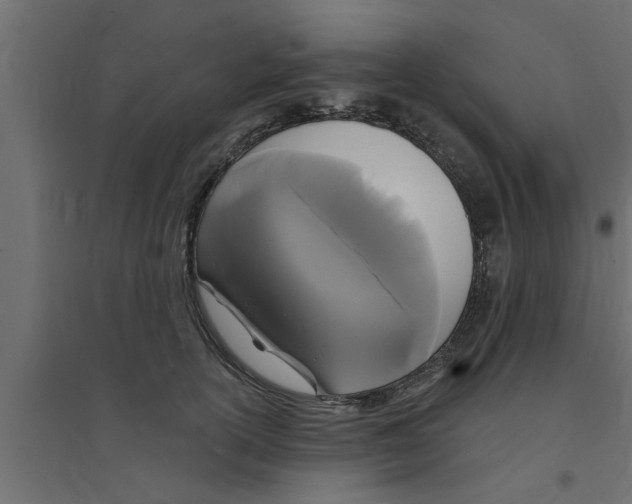 X0000094230754200711241744
