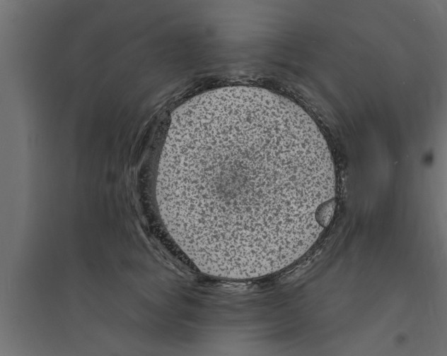 X0000094230757200711241745