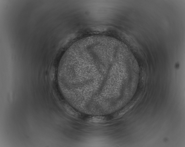 X0000094230758200711241745