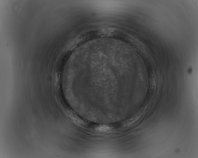 X0000094230759200711241745