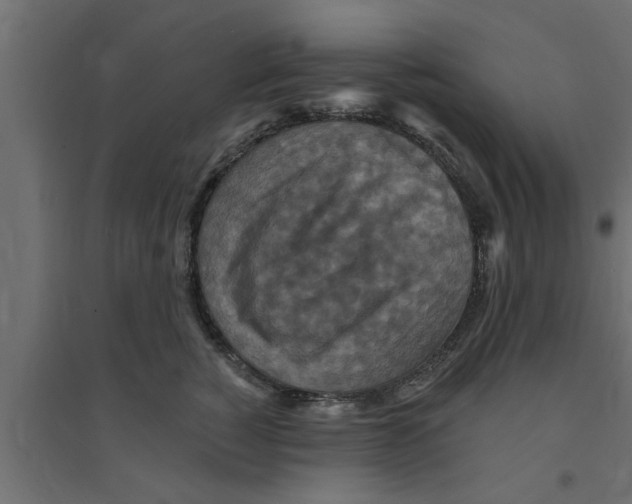 X0000094230760200711241745