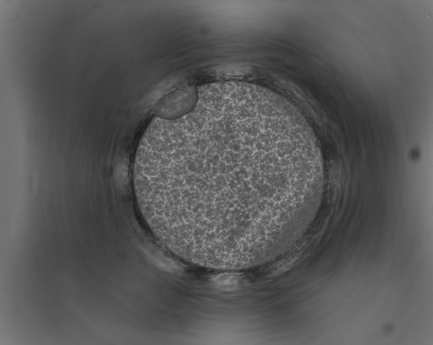 X0000094230761200711241745