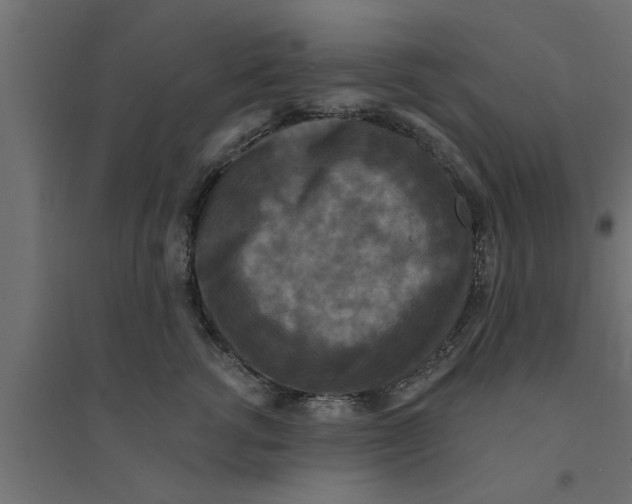X0000094230762200711241745