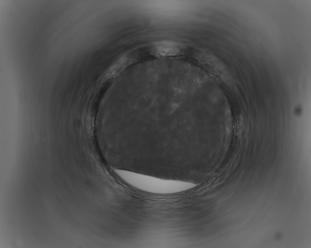 X0000094230763200711241745