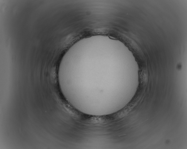 X0000094230764200711241745