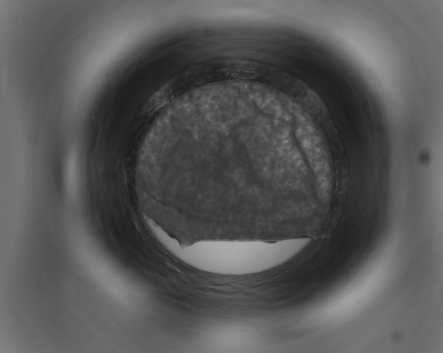 X0000094230765200711241745
