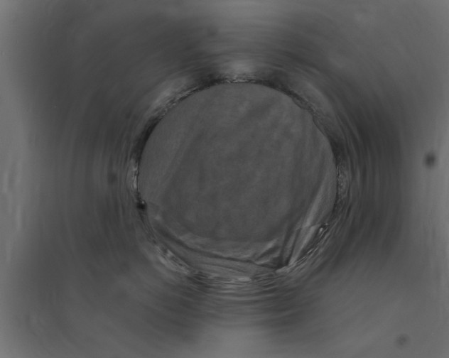 X0000094230766200711241745