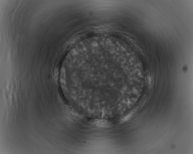 X0000094230767200711241745
