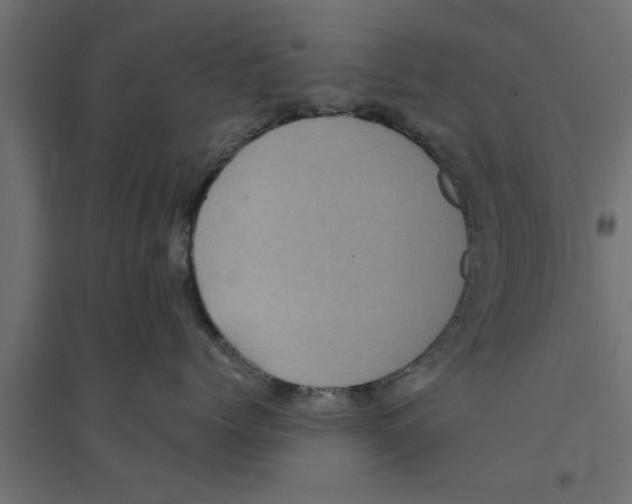 X0000094230768200711241745