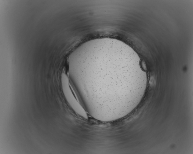 X0000094230771200711241744