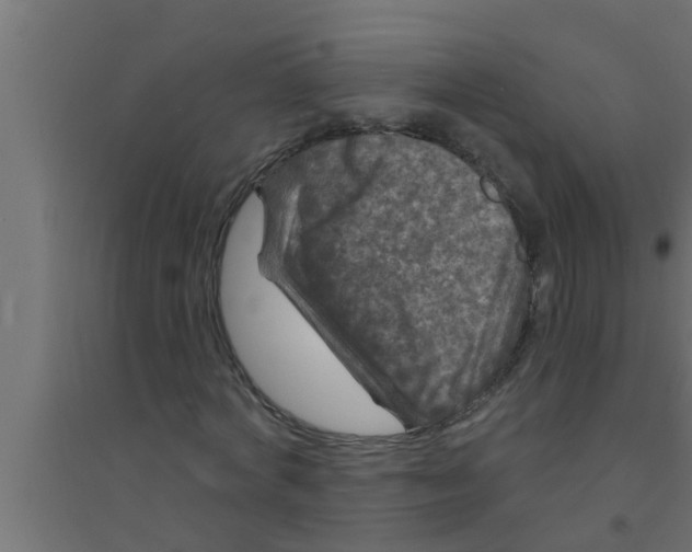 X0000094230772200711241744