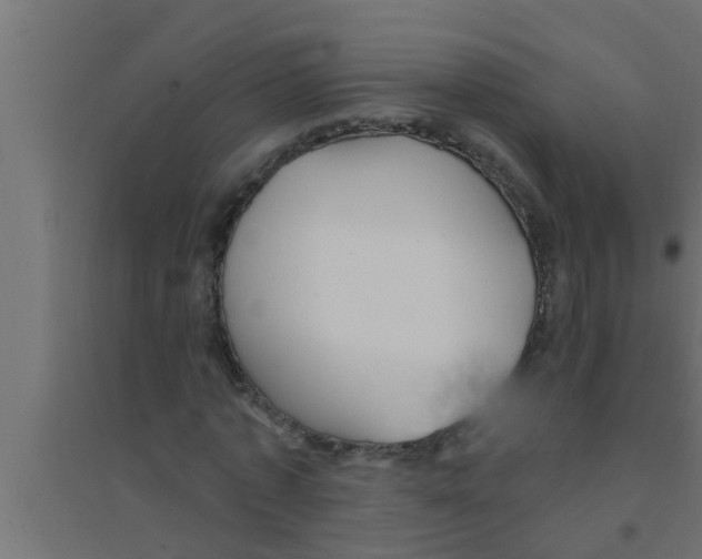 X0000094230773200711241744