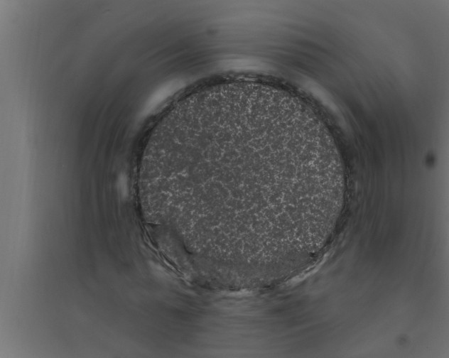 X0000094230775200711241744