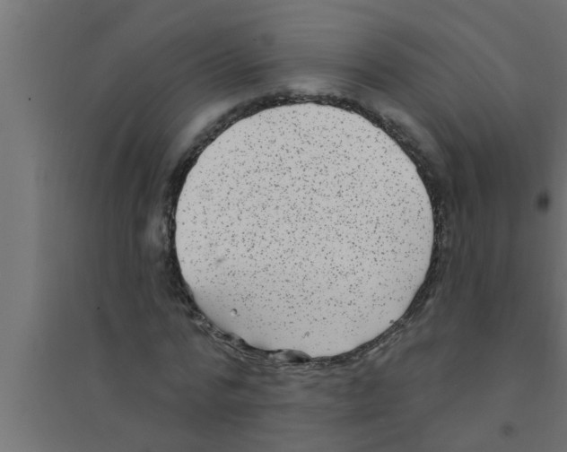 X0000094230776200711241744