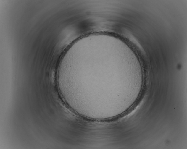 X0000094230777200711241744