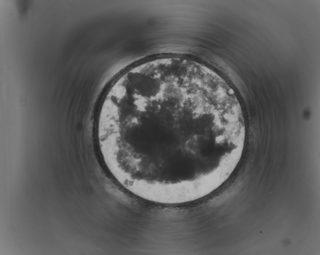 X0000094230779200711241744