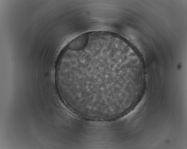 X0000094230781200711241744