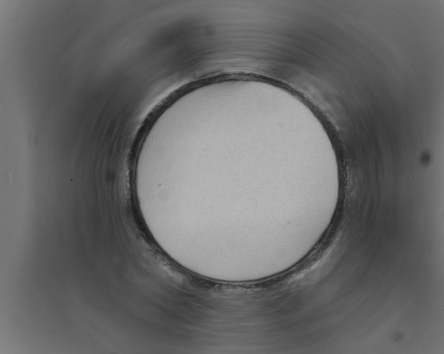 X0000094230782200711241744