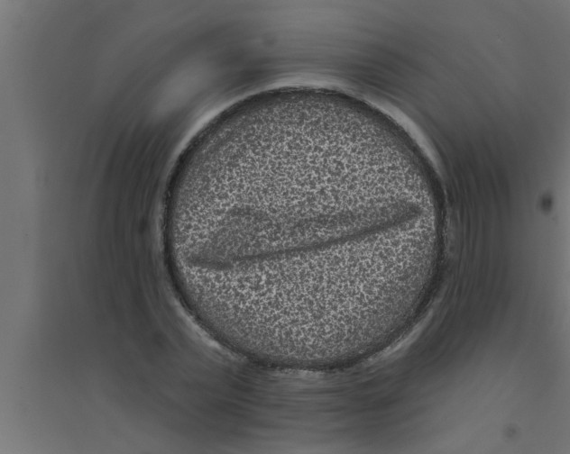 X0000094230783200711241744