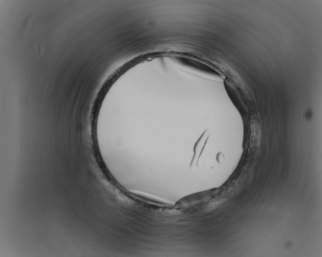 X0000094230784200711241744