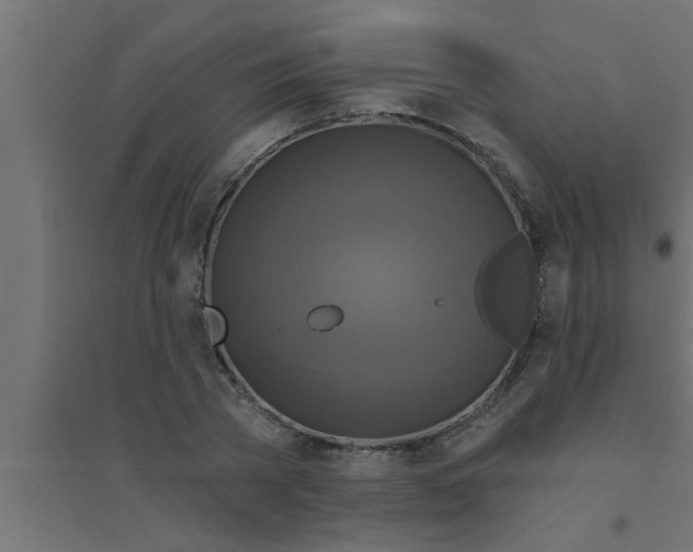 X0000094230785200711241744