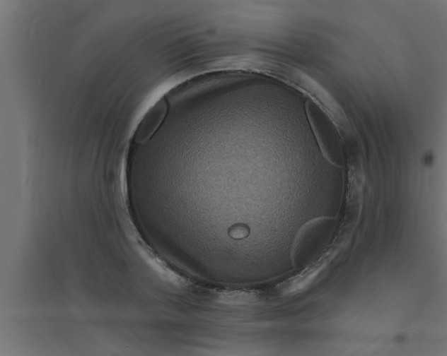 X0000094230788200711241744