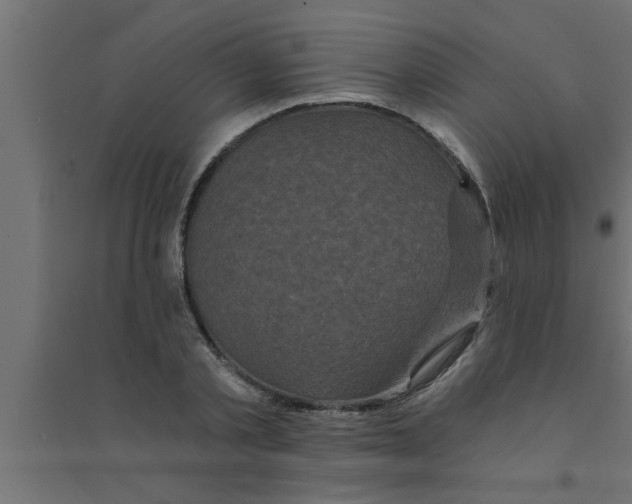 X0000094230789200711241744