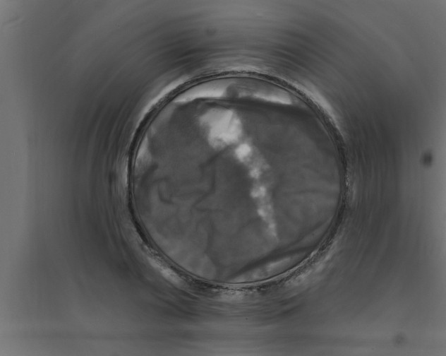 X0000094230790200711241744
