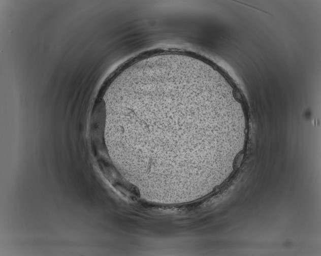 X0000094230791200711241744