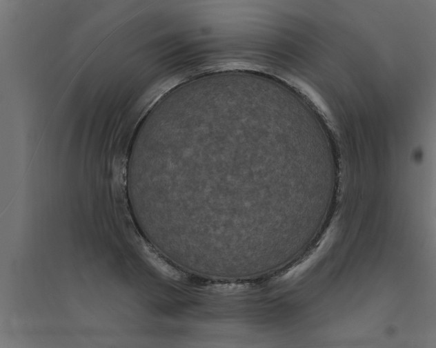 X0000094230793200711241744