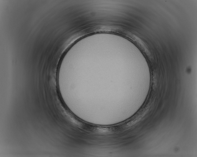 X0000094230794200711241743