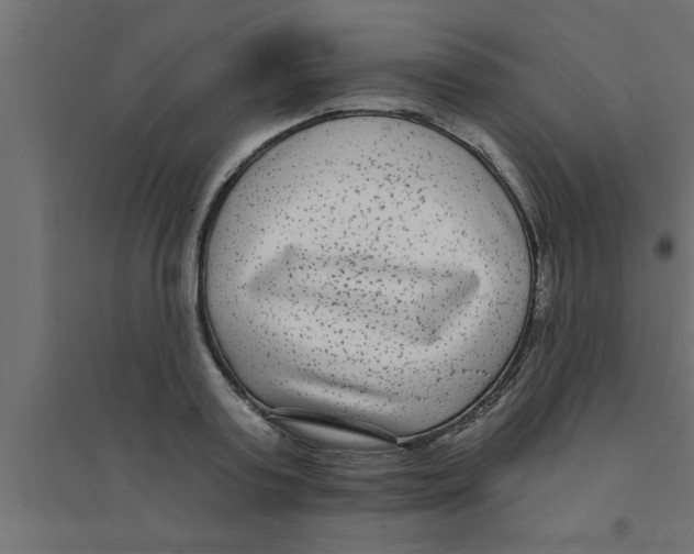 X0000094230795200711241743