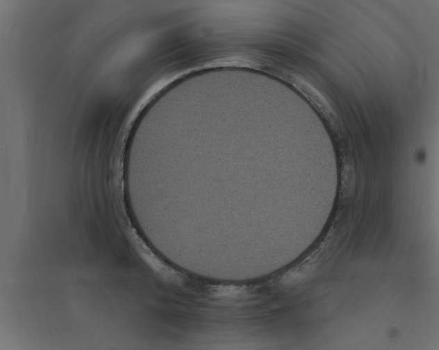 X0000094230800200711241743