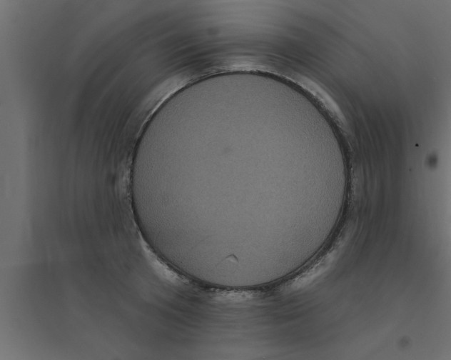X0000094230801200711241743
