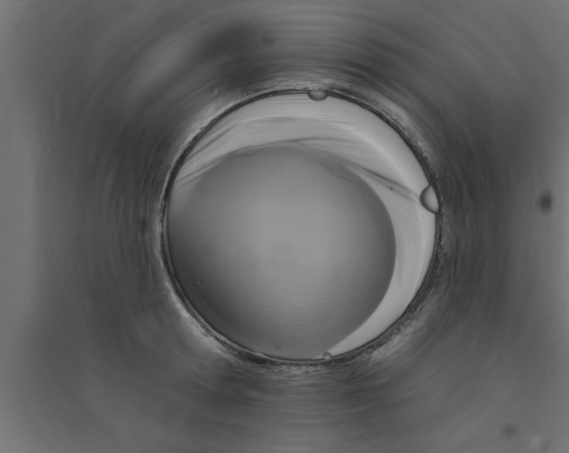 X0000094230802200711241743