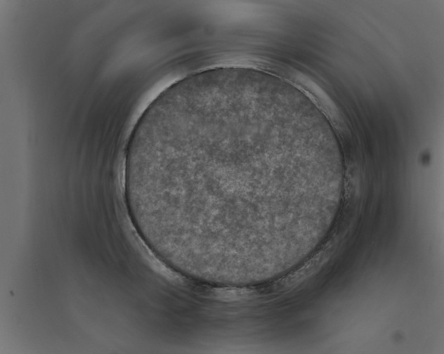 X0000094230804200711241743